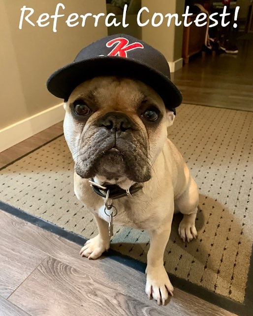 https://www.kerrisdalebaseball.com/wp-content/uploads/sites/2885/2021/10/75379855_168024617622934_126493088158667885_n.jpeg